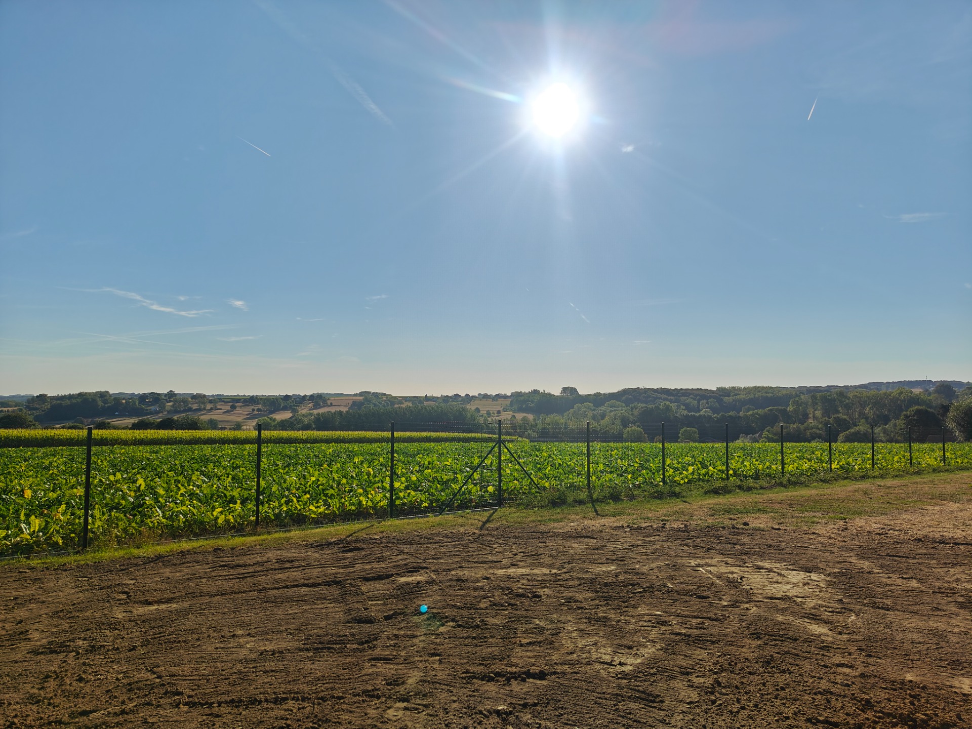 Uitzicht over de Vlaamse Ardennen vanuit Kwaremont